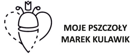 Moje pszczoły - Marek Kulawik